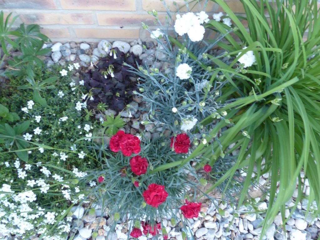 Saint-Jouin-Bruneval La Flore De Lys, Cottage Ideal Pour 2 Adultes Et 2 Enfants חדר תמונה